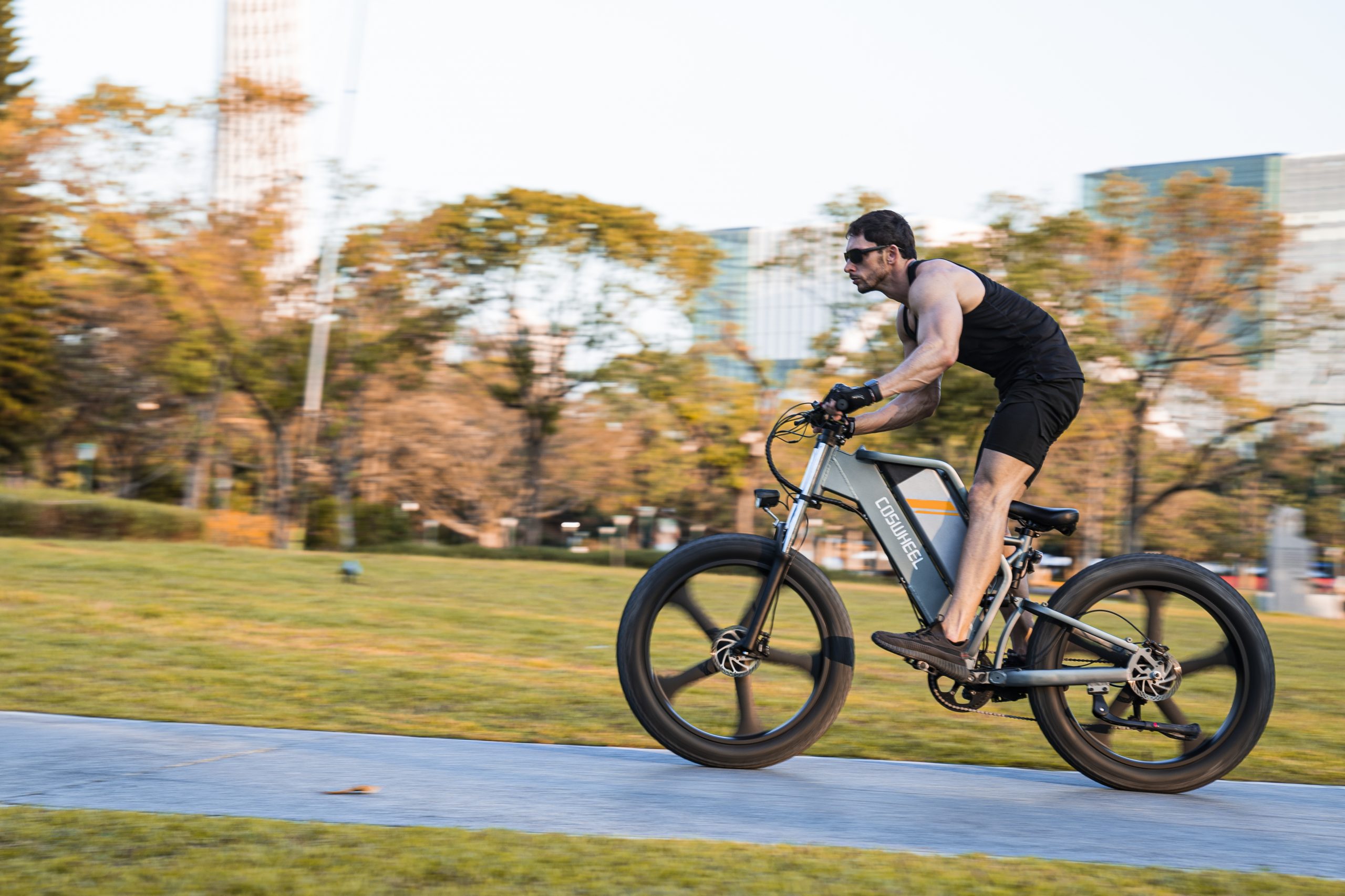 best electric bike