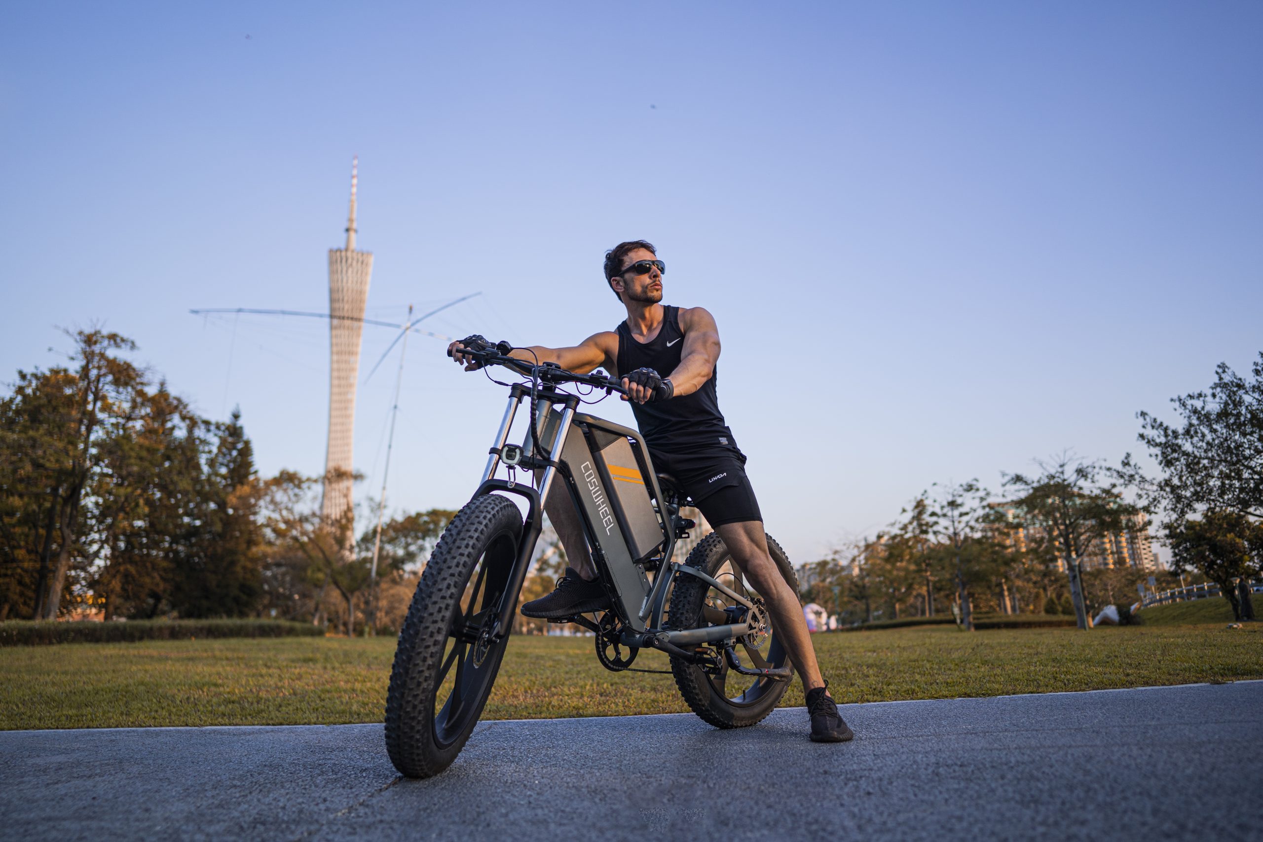 electric fat bike