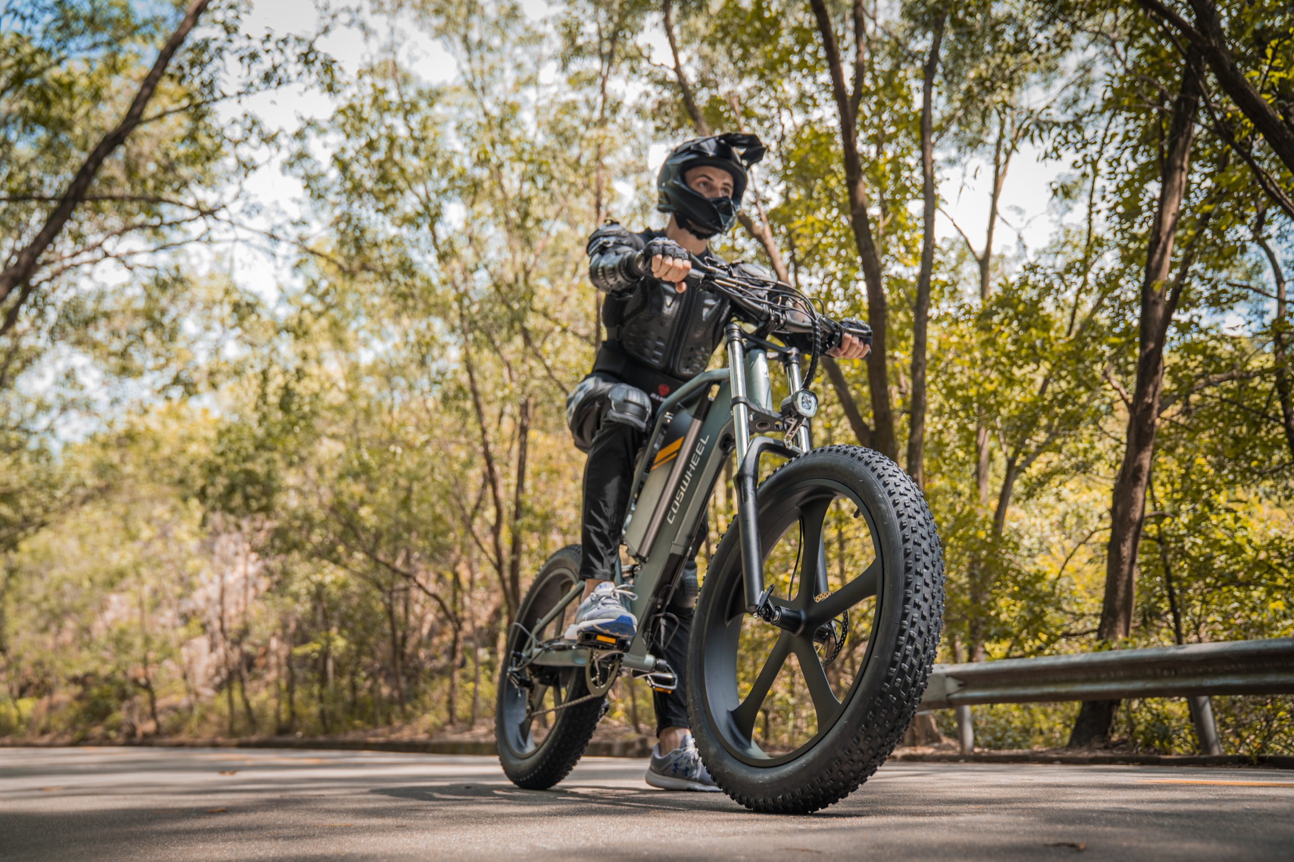 electric fat bike