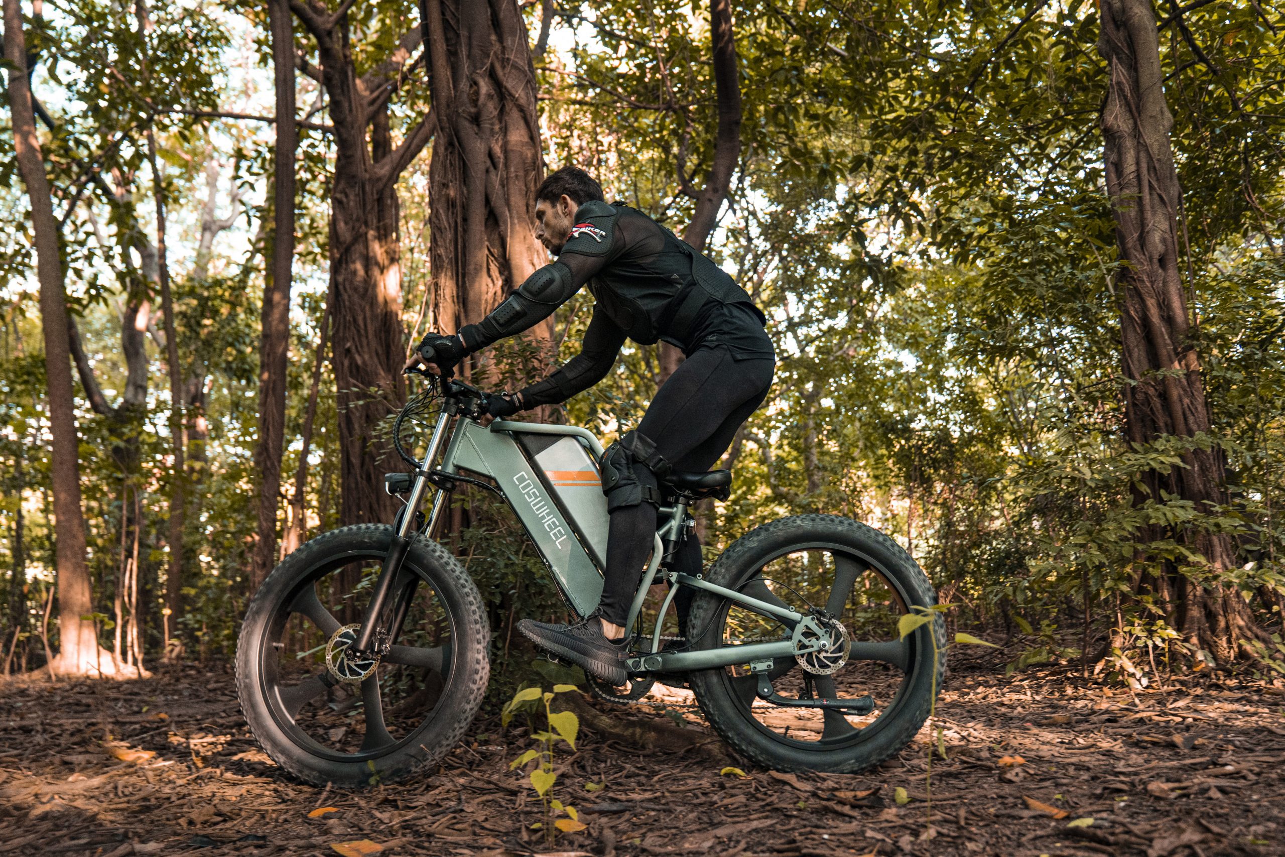 electric bike (29)