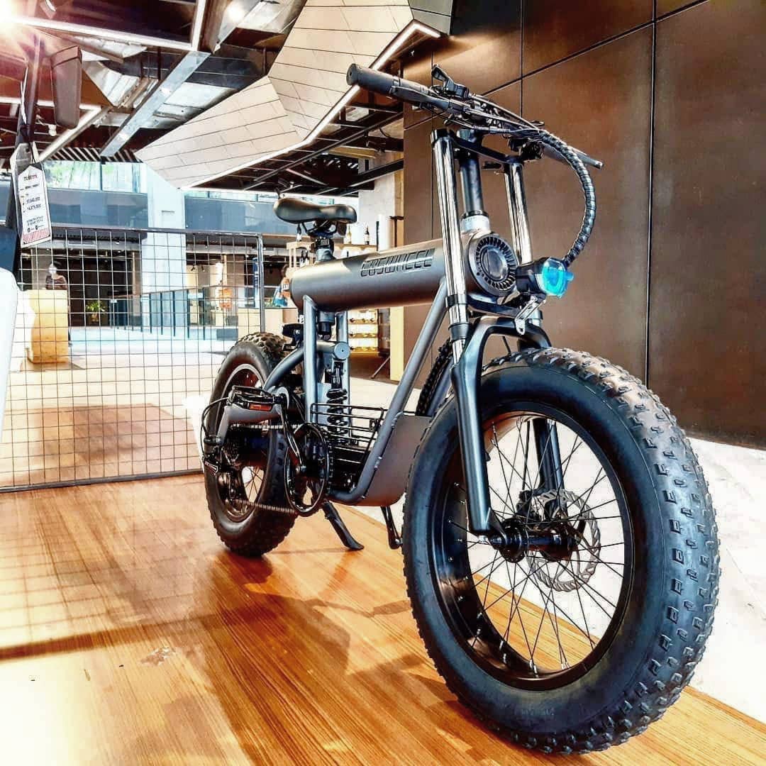 enjoy this best electric bike