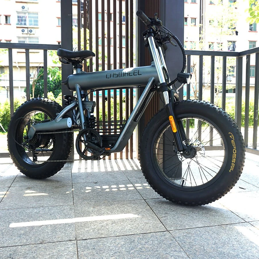 40-t20